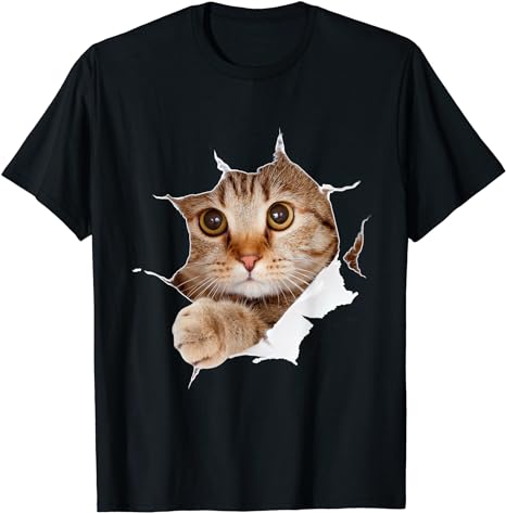 Funny Cute Sweet Kitten